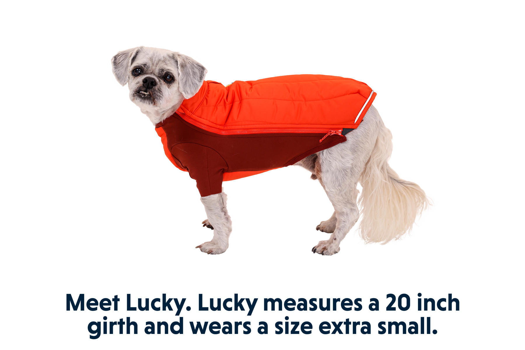 05702_Powder-Hound_Persimmon-Orange_LUCKY_XSmall.png