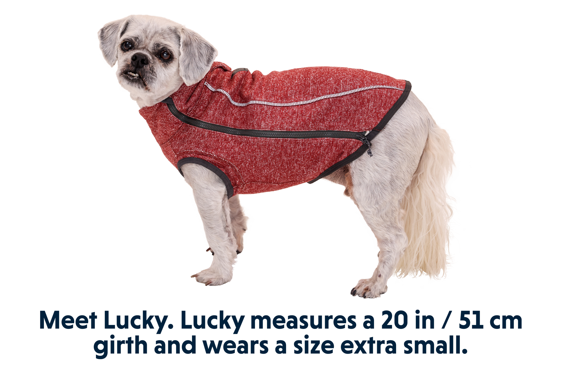 0591_Hemp-Hound_Fired-Brick_LUCKY_XSmall.png