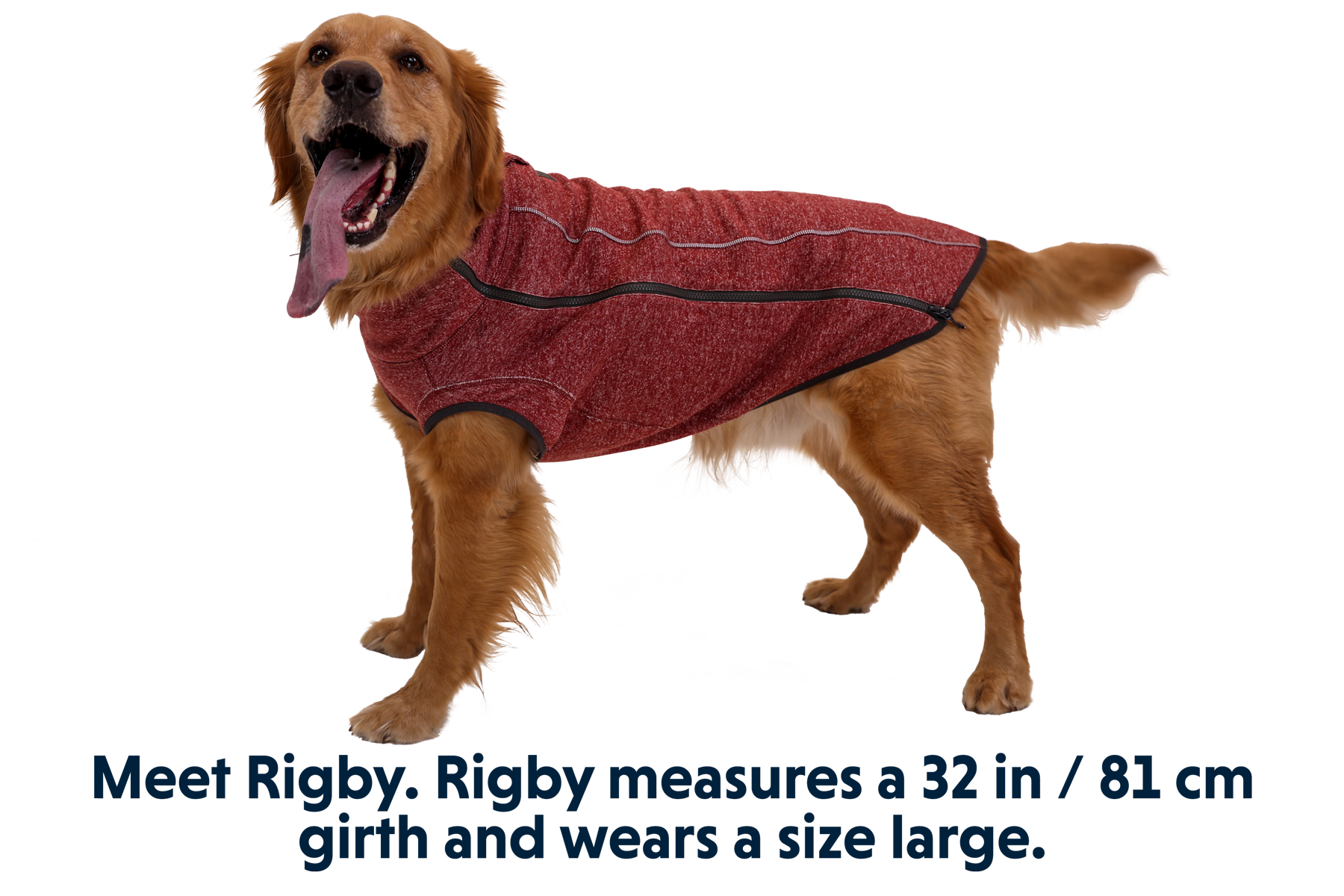 0591_Hemp-Hound_Fired-Brick_RIGBY_Large_0d219383-5ff0-4dd6-998a-6d084e5b37b9.png