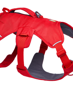 Web Master™ Dog Harness with Handle