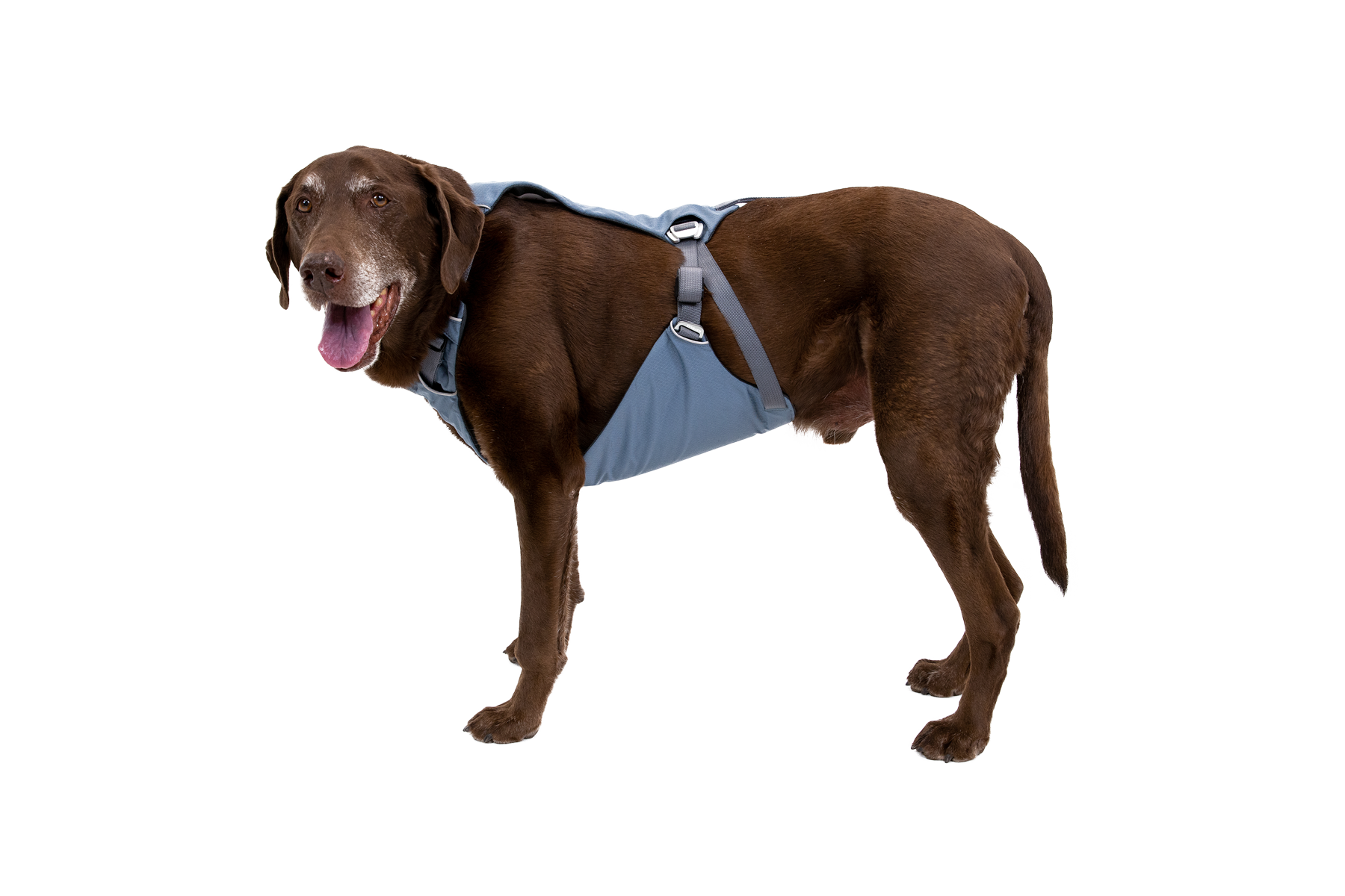 30602_Load-Up-Harness_Slate-Blue_RIO_LXL_No-Text.png
