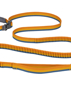 Roamer™ Bungee Dog Leash