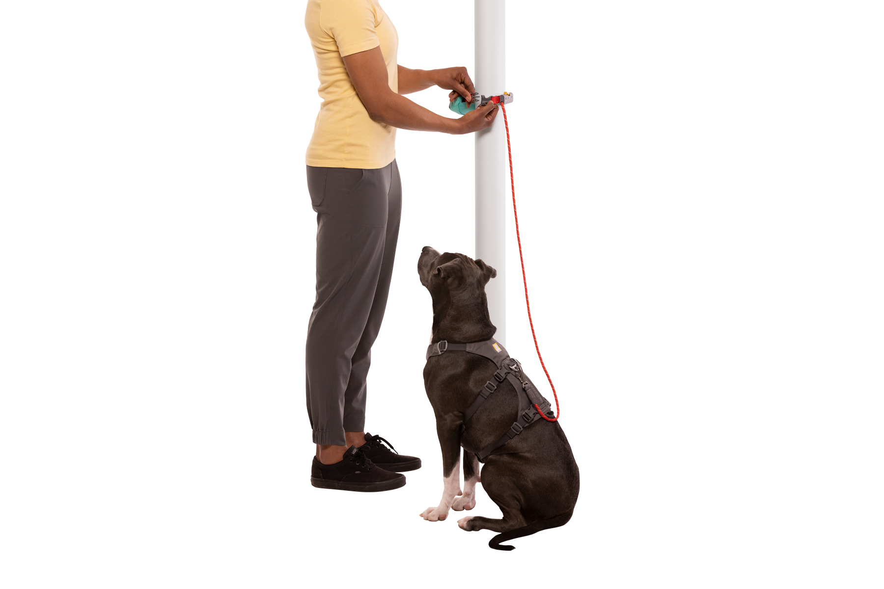 4041-Hitch-Hiker-Leash-Aurora-Teal-Tie-Out-SMALL.png
