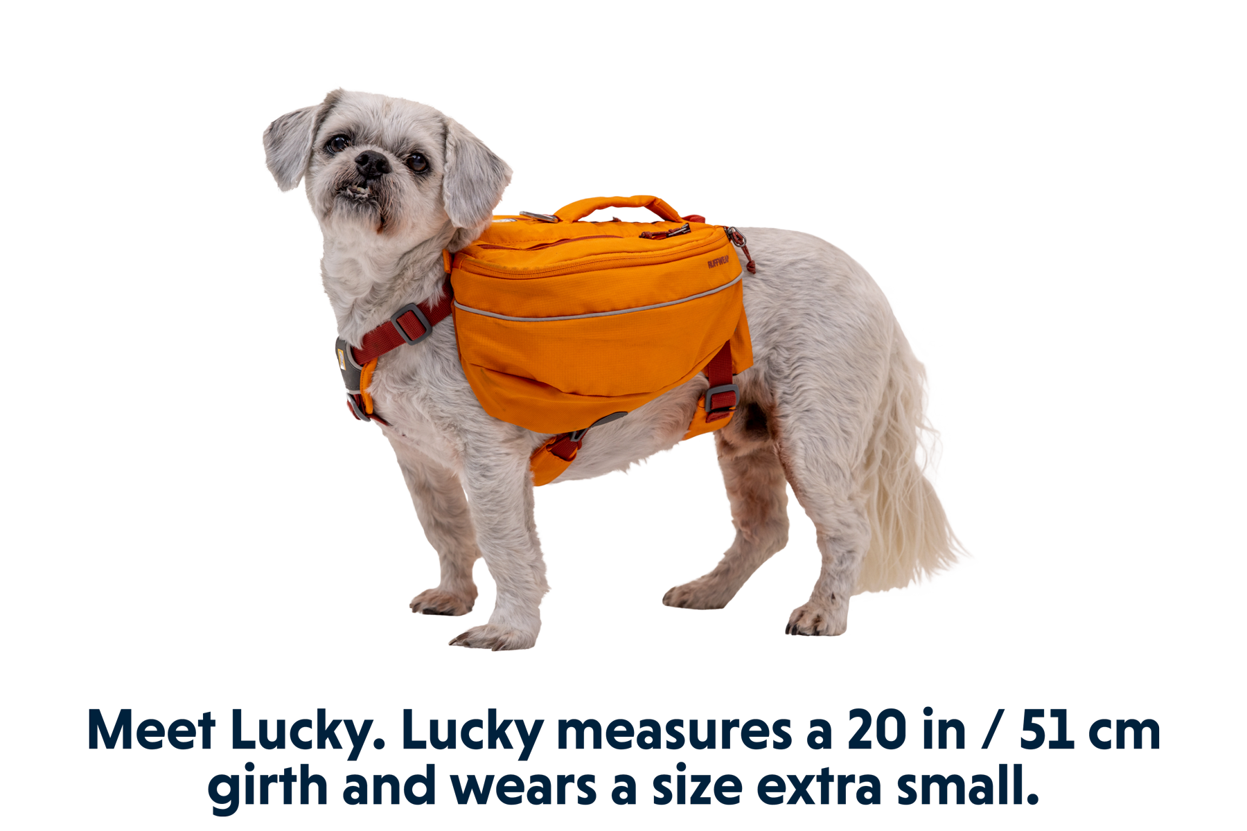 50103_Approach-Pack_Campfire-Orange_LUCKY_XS.png