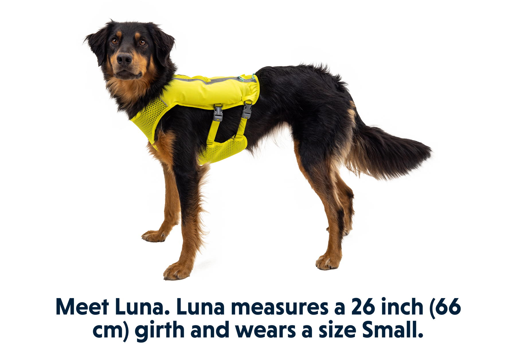 5080_Trail-Runner-Running-Vest_Luna_Small_6da9b941-e367-4b52-9de1-dfdacbecaaeb.png
