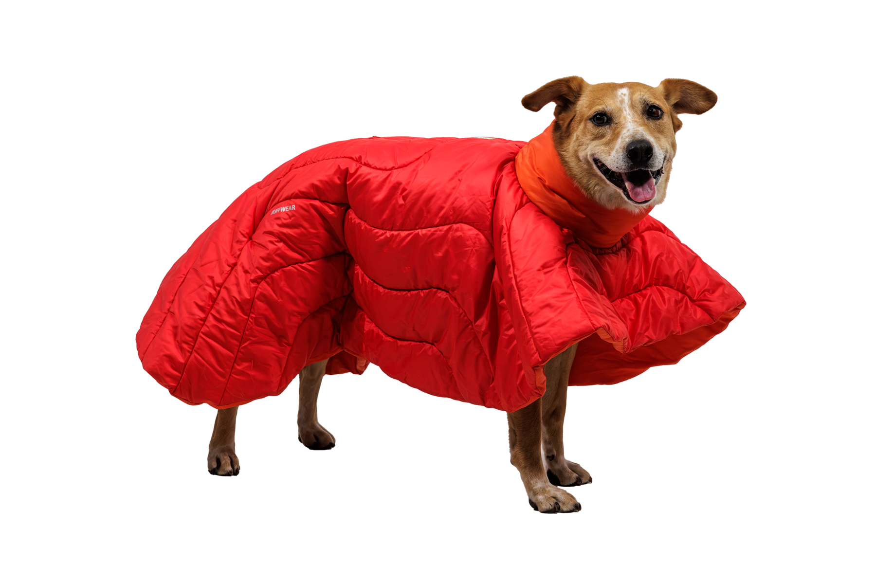 CompressedPNG-0525_Palisades-Poncho_Red-Currant_On-Dog-1_STUDIO.png