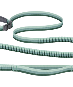 Roamer Lock™ Bungee Dog Leash