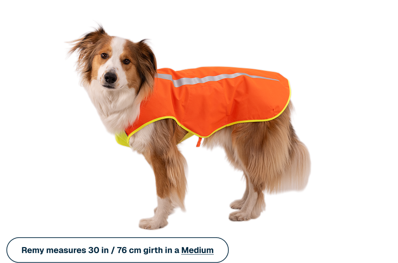 Group_8300.png